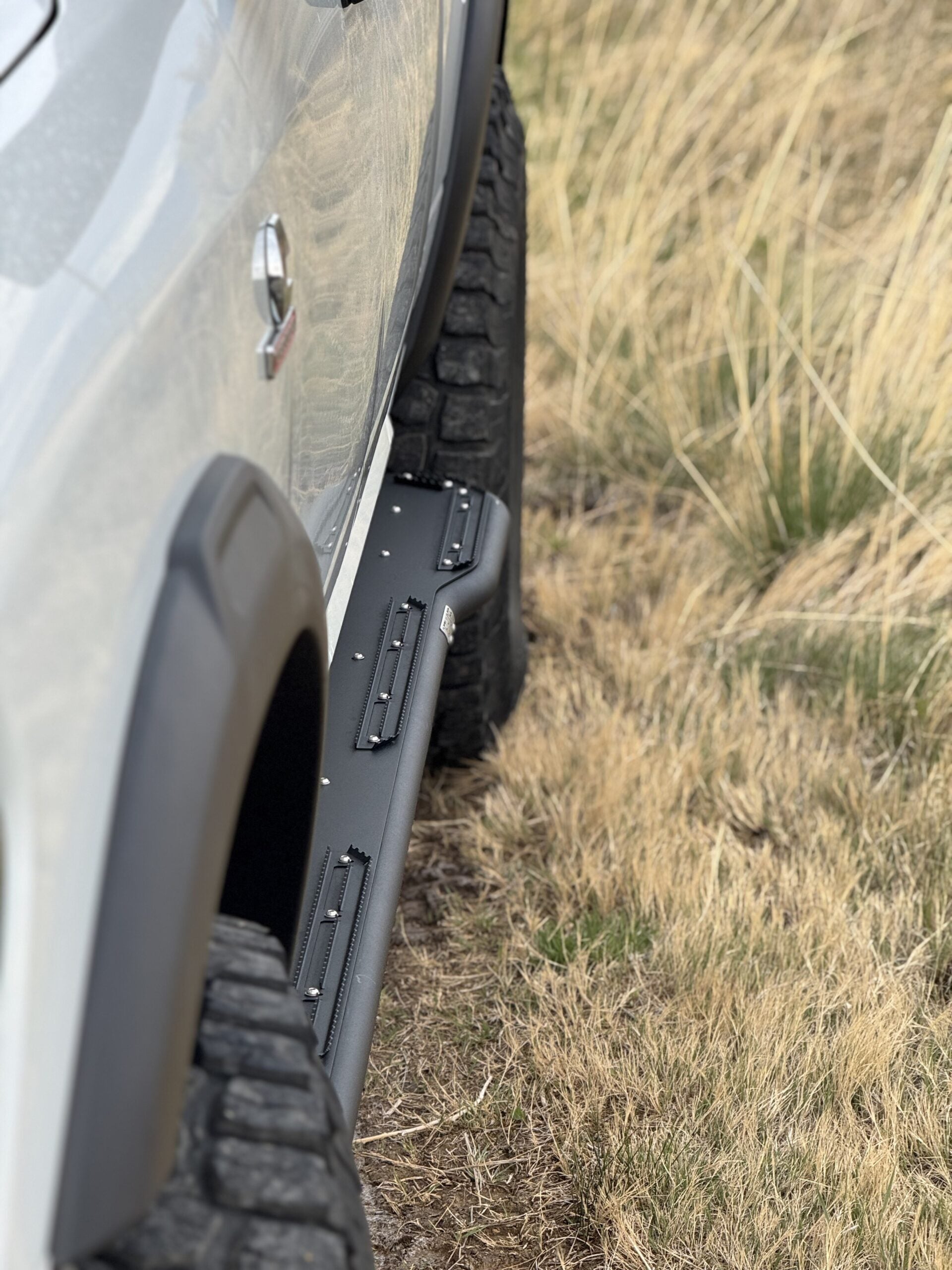 Close view of the slider's step plate below the door with dry grass alongside