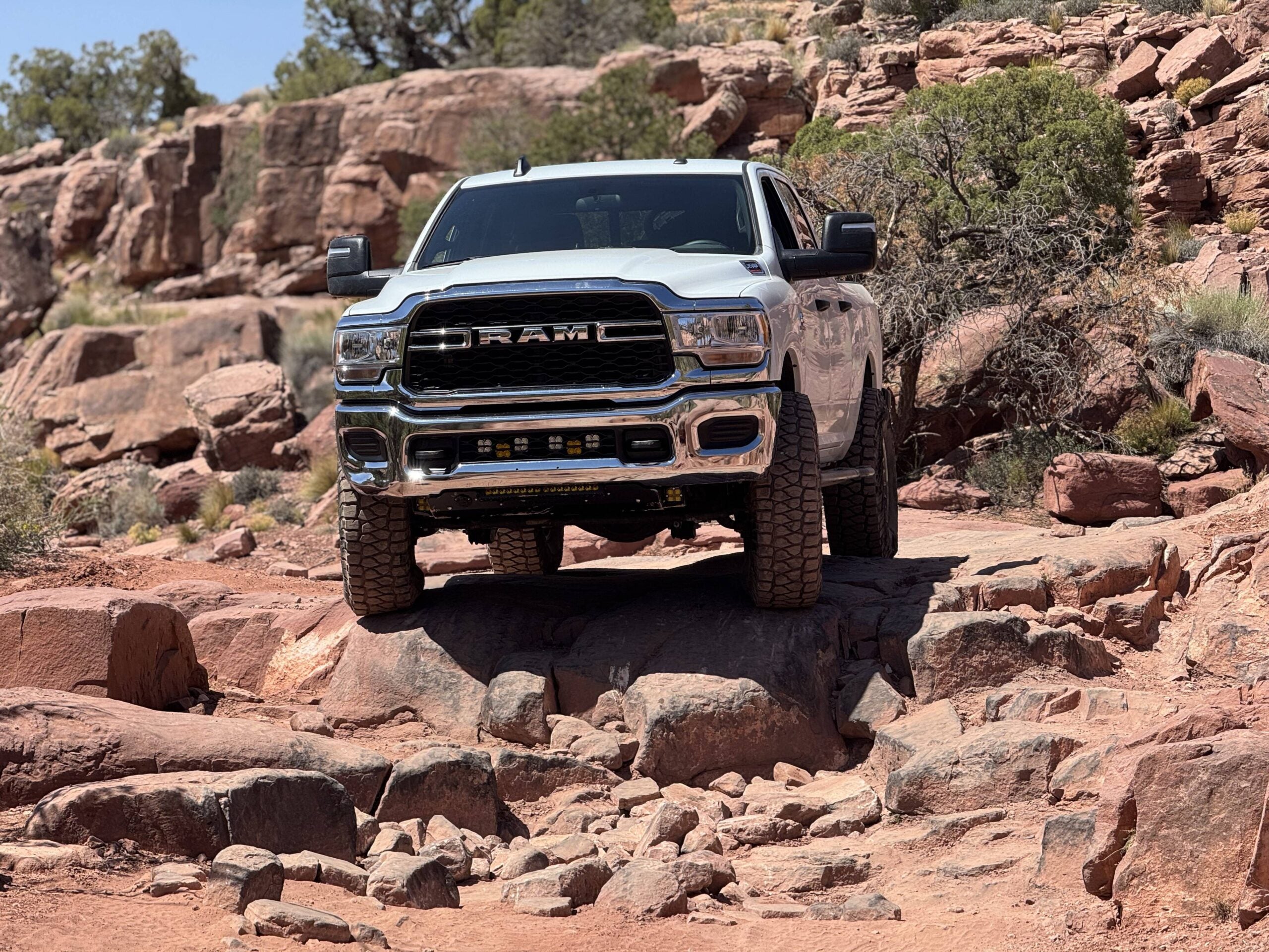 White Ram climbing a rock ledge head-on in red rock country